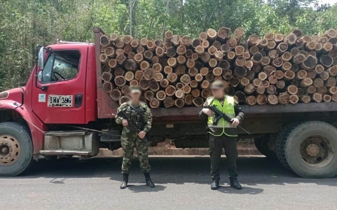 Madera ilegal: 12 metros cúbicos incautados